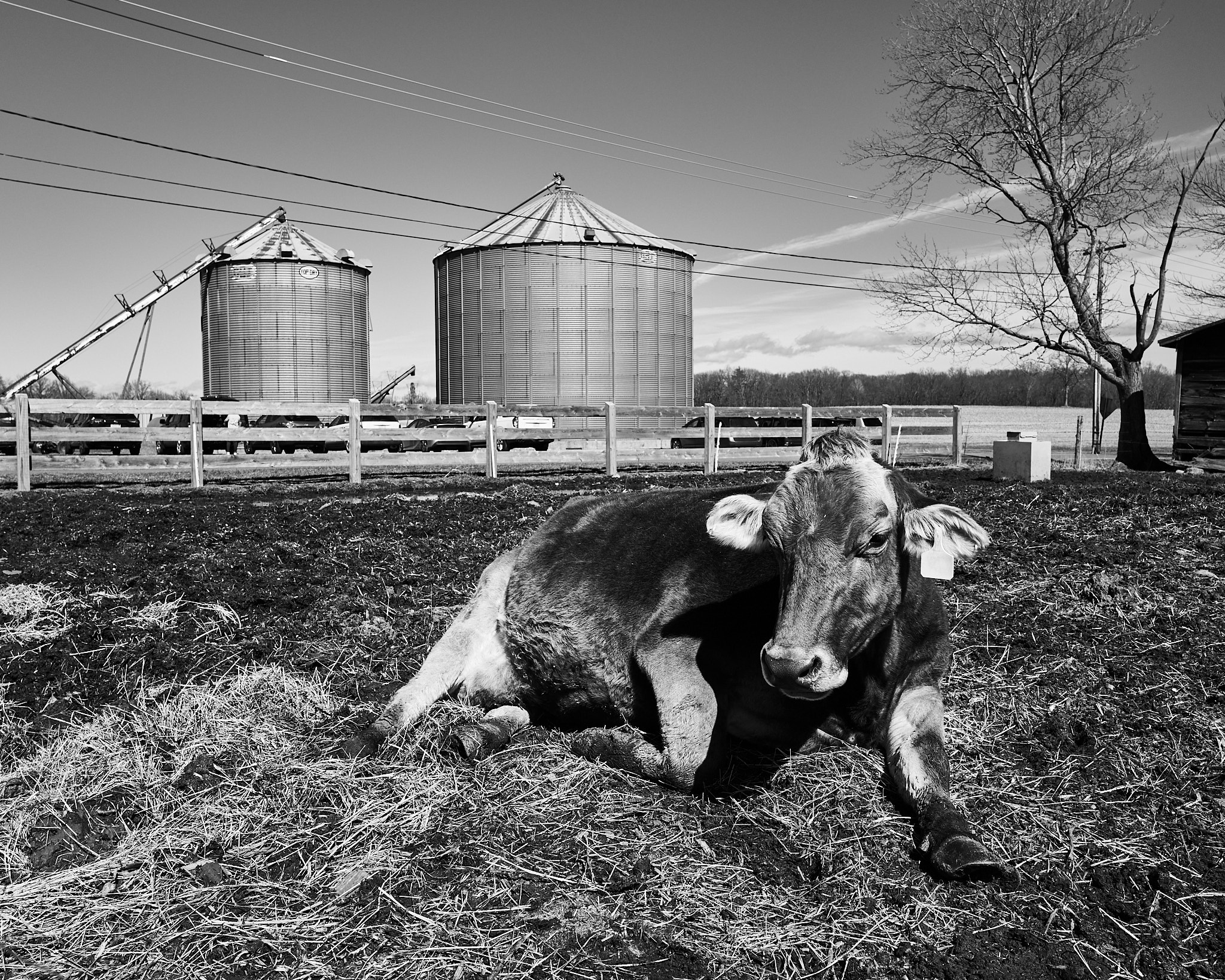 Description of image 5